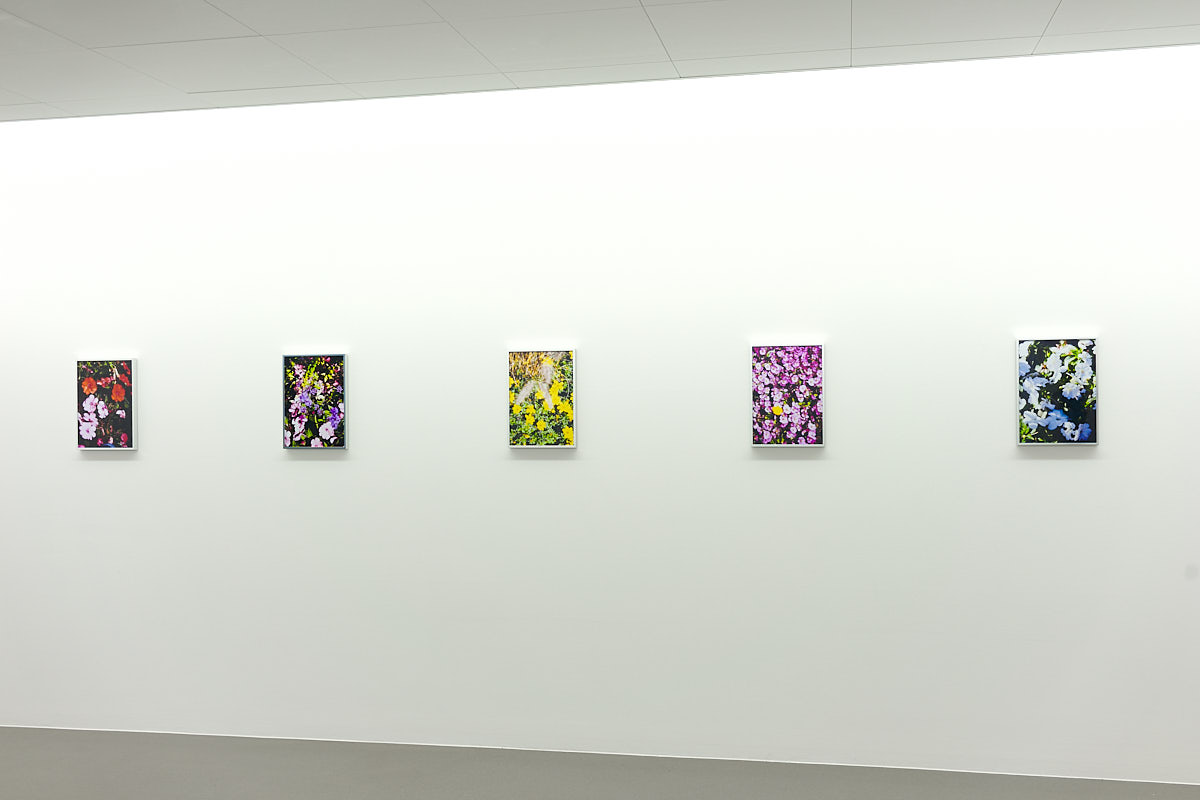 Ausstellungsansicht: Fleurs (Flowers), Museum Haus für Kunst Uri, Altdorf